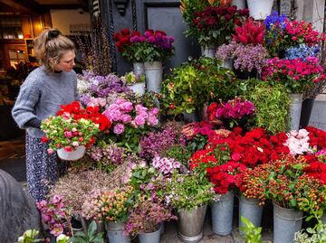 Día de la Soltería: ¿Qué dicen la psicología y la sociología?
