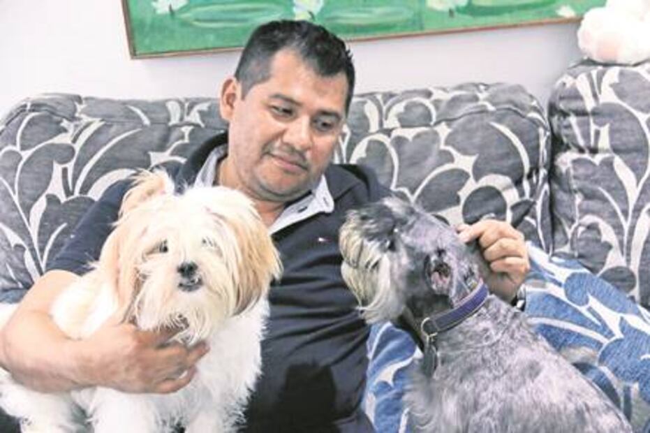 De plataformas petroleras... a pasteles para perros