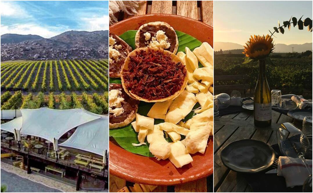 Foto: Valle de Guadalupe/ San Miguel de Allende/ Oaxaca