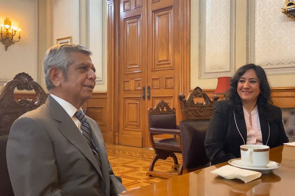 La salida de Irma Eréndira y su relevo salinista 