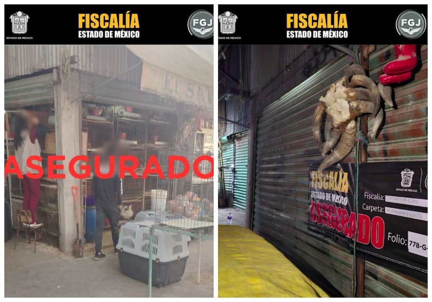 Catean y aseguran local del Mercado Cuautitlán México. Foto: Especial