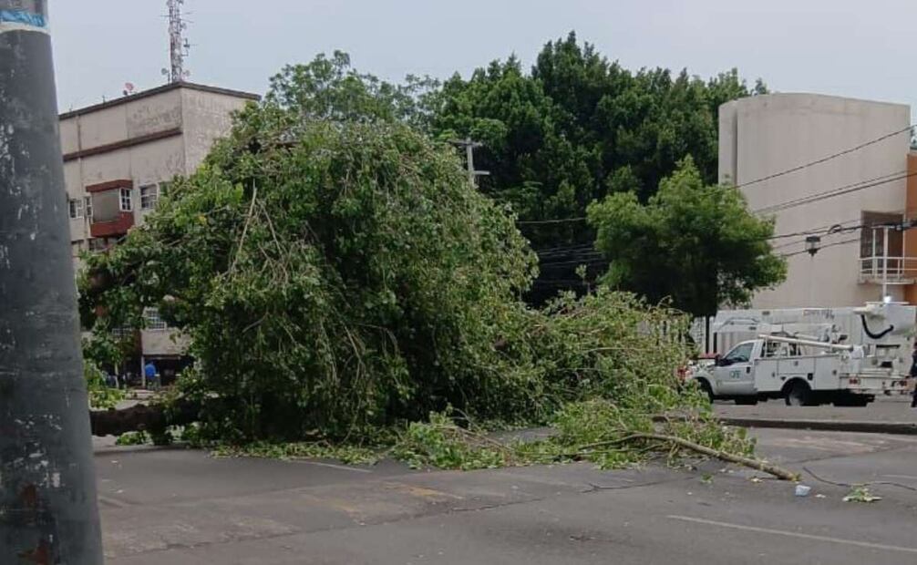 Autoridades recomendaron a la población evitar estacionarse o permanecer cerca de árboles, anuncios espectaculares y estructuras inestables. Fotos: Especiales.