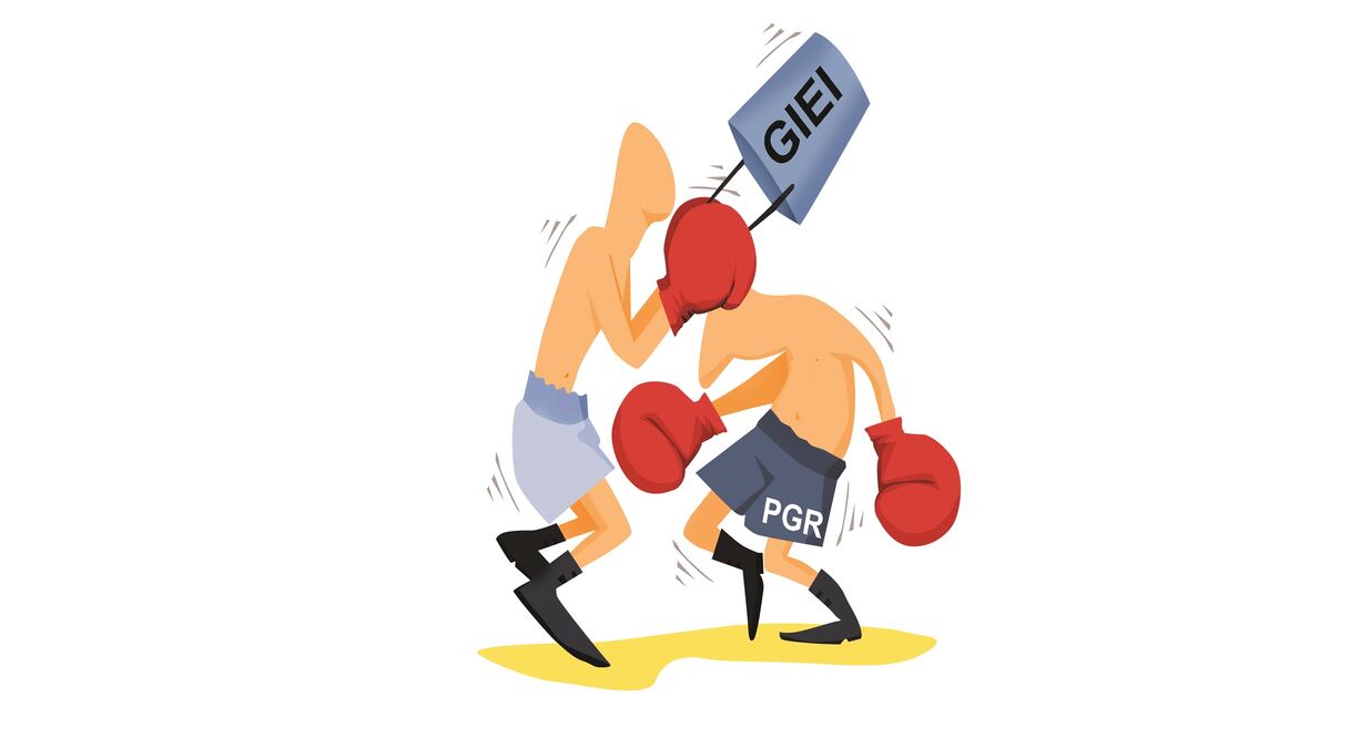 El Libro Blanco del presidente Peña Nieto