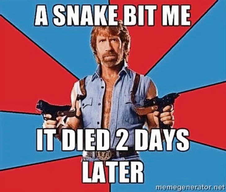 En 2005 surgen los “Chuck Norris facts”, memes que lo convierten en mito digital. Foto: Archivo / EL UNIVERSAL