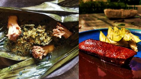 Maizal, un santuario gastronómico para el reino fungi