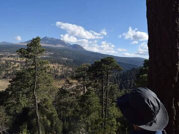 Recorre las faldas del Nevado de Toluca en esta excursión