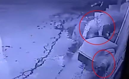 Captan robo de "casa" de perro en Edomex