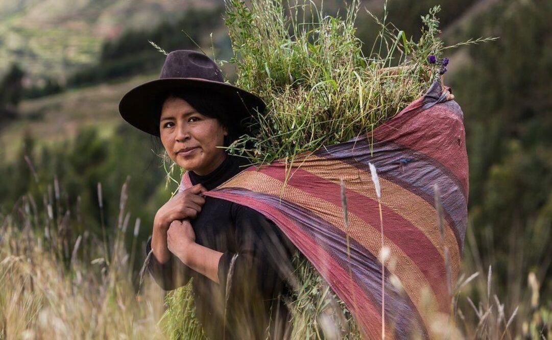 Mujeres indígenas de México: Tierra y Territorio. Foto: tomada de la página de Facebook de la FAO