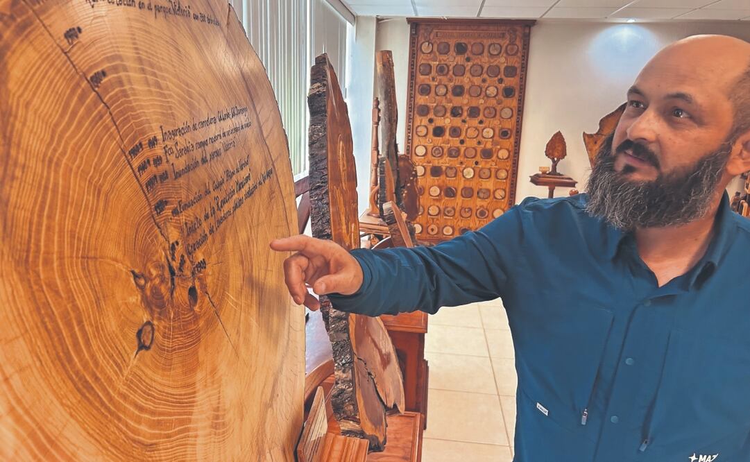 En las vetas del tronco, Julián Cerano ve una biblioteca climática, una máquina del tiempo, pues cada anillo de crecimiento, más ancho o estrecho, es un testigo del pasado. Foto: de Francisco Rodríguez