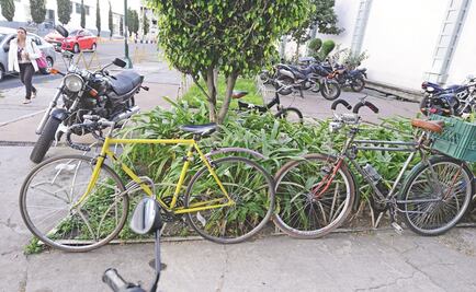 Copred, pendiente de comentarios de Bisogno contra ciclistas