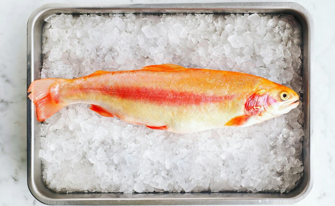 Aprende a cocinar pescado como todo un experto. Foto: Pexels