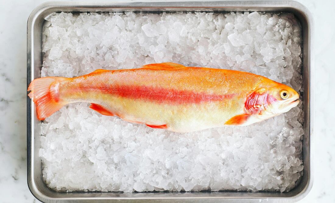 Aprende a cocinar pescado como todo un experto. Foto: Pexels