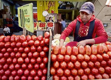 Aplazan la discusión con EU para exportar jitomate