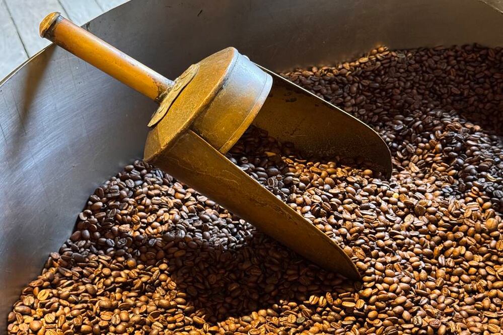 Foto: Turibús/Archivo