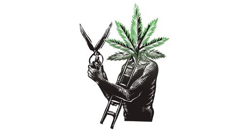 Peña y la marihuana: ¿posición salomónica?