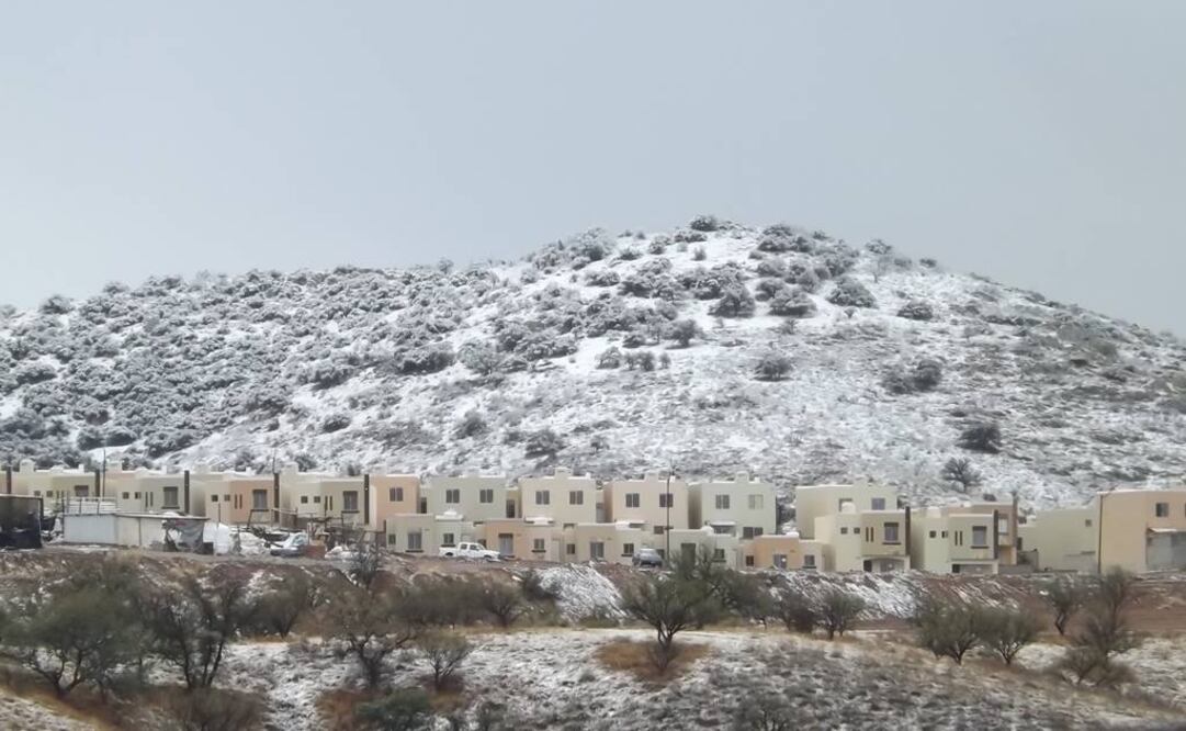 Foto: Archivo EL UNIVERSAL