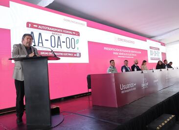 Qué significa la hoja verde en las placas de un auto  