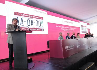 Qué significa la hoja verde en las placas de un auto