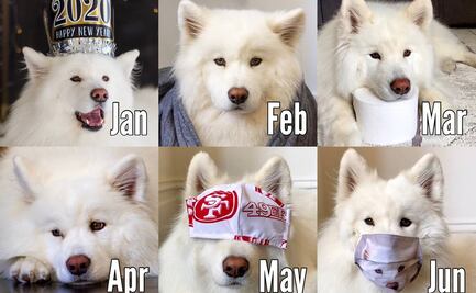 #2020Challenge, el reto viral que recuerda lo complicado que ha sido el año