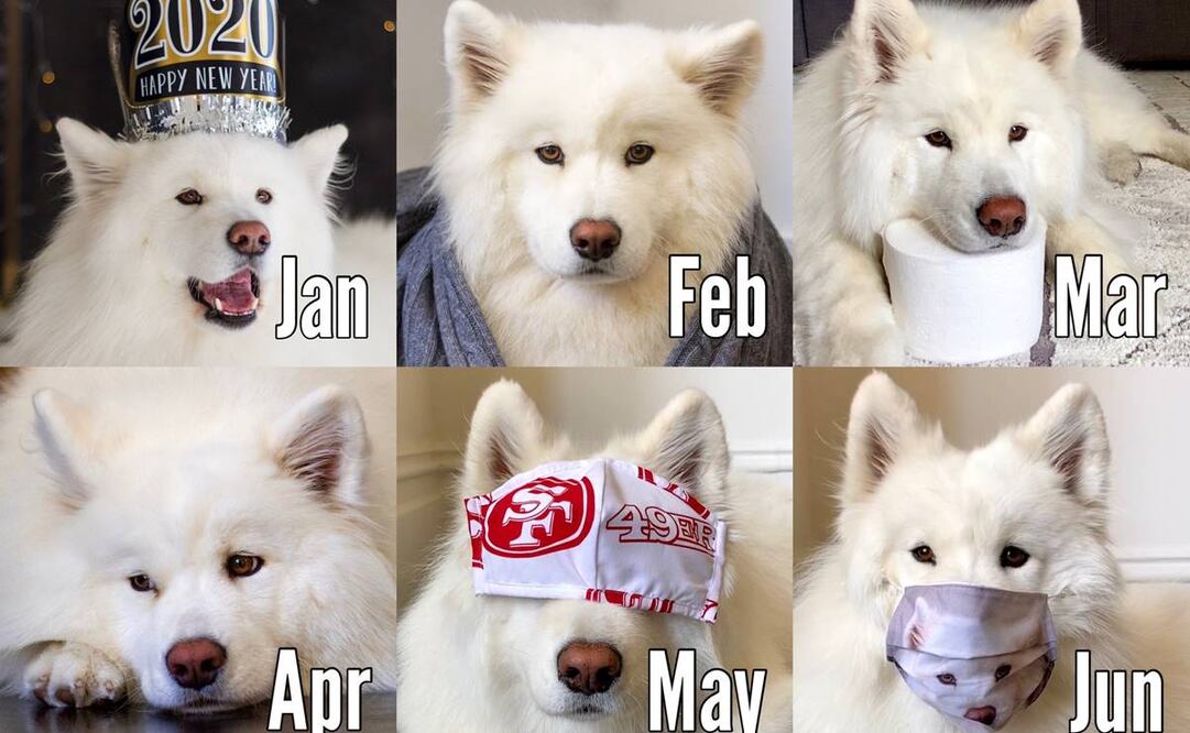 Twitter: @coconutricebear