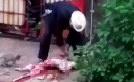 Captan a adulto mayor desollando a perro en Edomex