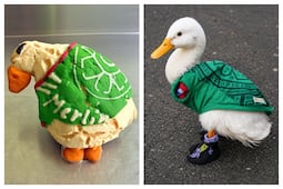 Merliconchas, el pan dulce viral inspirado en la mascota no oficial del Mundial