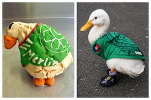 Merliconchas, el pan dulce viral inspirado en la mascota no oficial del Mundial