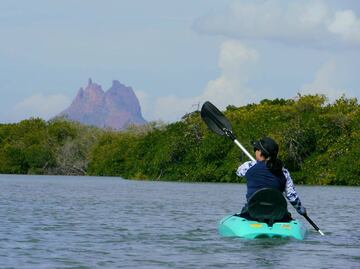 ¿Cuántas horas debe pasar una persona en contacto con la naturaleza para mejorar su salud, según Harvard?