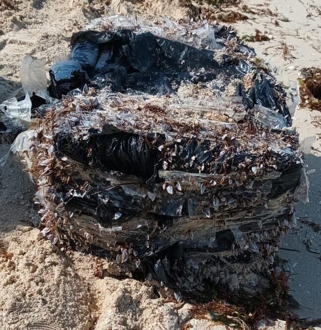Un bulto con 25 paquetes de cocaína recaló en las playas de Chicxulub puerto en Yucatán. Foto Especial