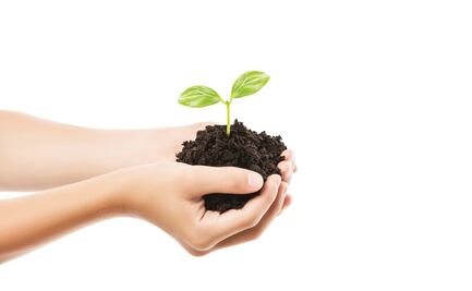 Será 17 de julio el Día Internacional de las Personas Defensoras de Derechos Humanos Ambientales