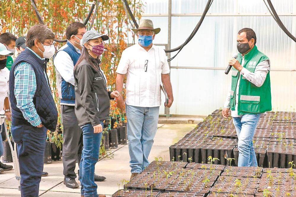 Durante un recorrido por Xochimilco, Claudia Sheinbaum planteó esta nueva forma de celebrar El Grito. Foto: ESPECIAL