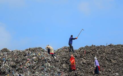 Repensar nuestros hábitos de consumo, clave para conservar el medio ambiente