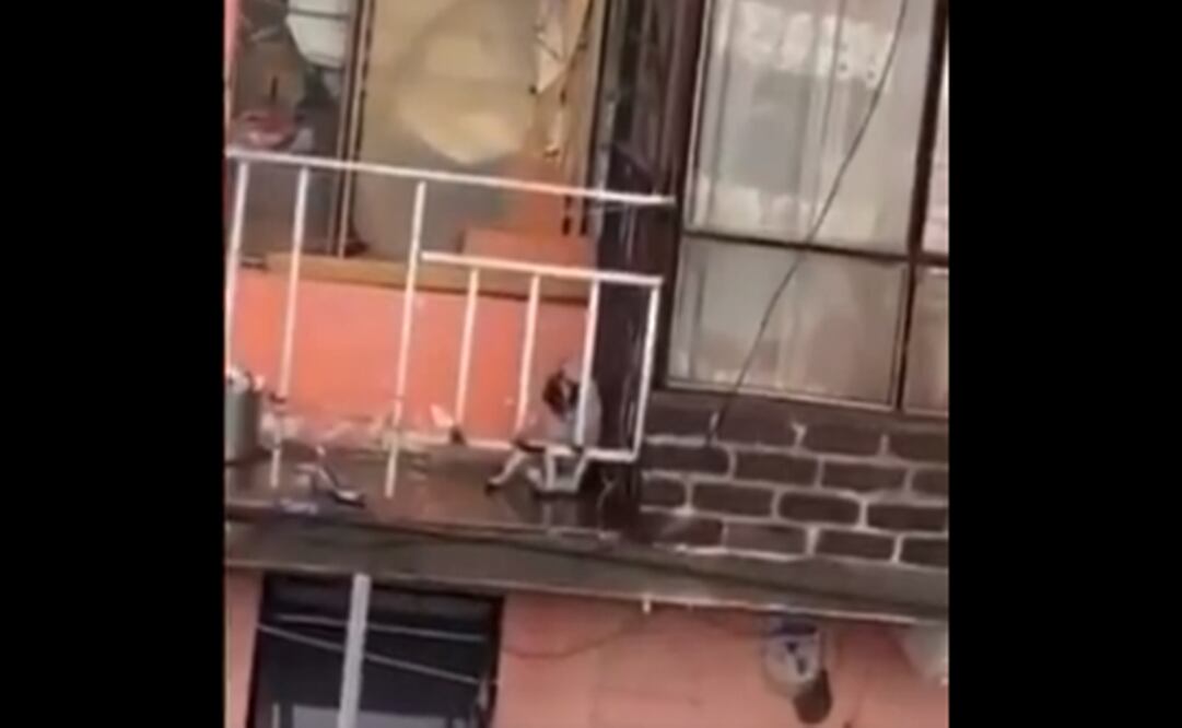 Foto: captura de video