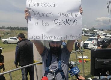 Rescatistas piden que les permitan sacar a los perritos del socavón en Puebla