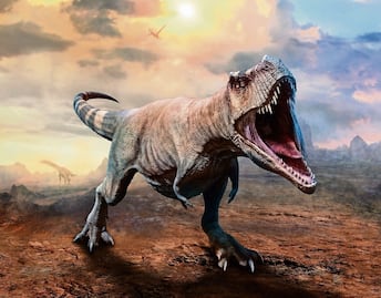 Descubren que no fueron uno, sino tres tipos de Tyrannosaurus rex