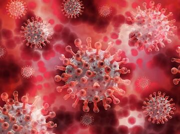 Nueva variante BA.2, es más difícil de detectar que ómicron; ya está presente en 40 países