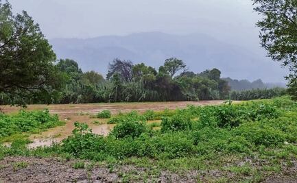 Comunidades de Tlaxiaco pierden cultivos por lluvias