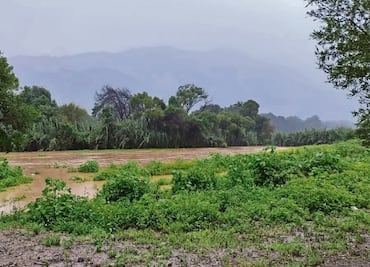 Comunidades de Tlaxiaco pierden cultivos por lluvias