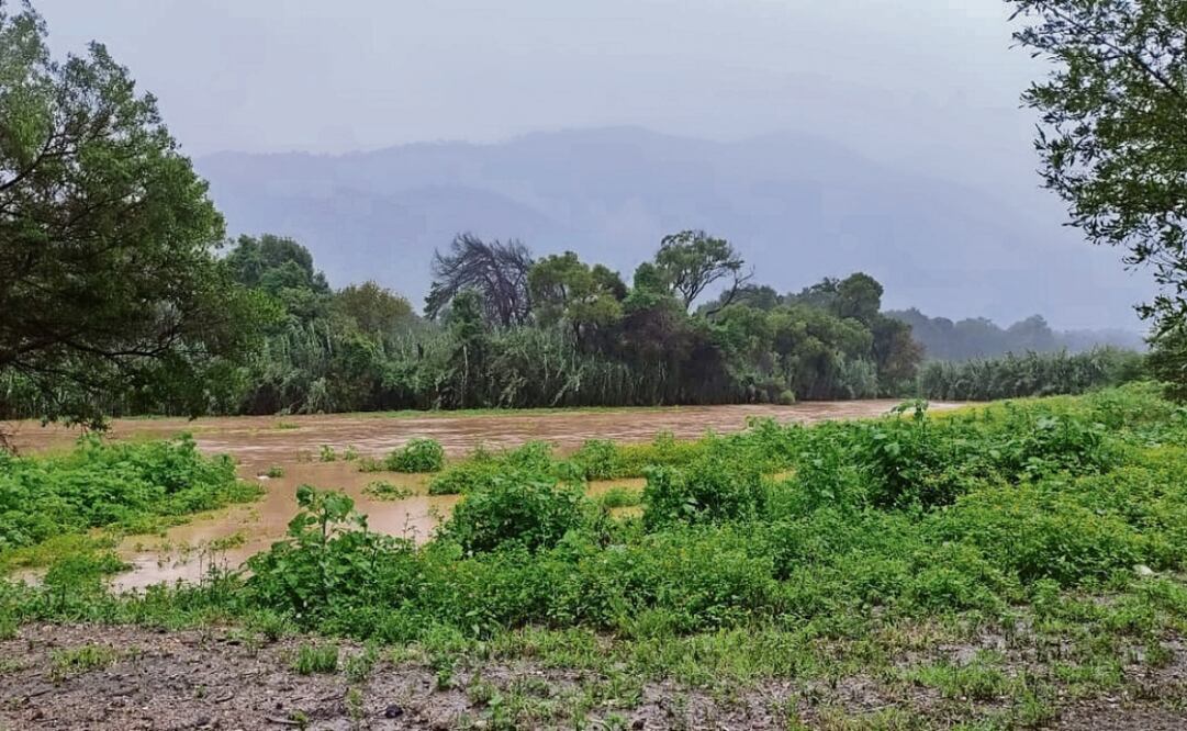Las siembras de maíz, frijol, cultivos de café y producción de miel sufrieron daños debido a las intensas lluvias. Foto: Edwin Hernández | El Universal