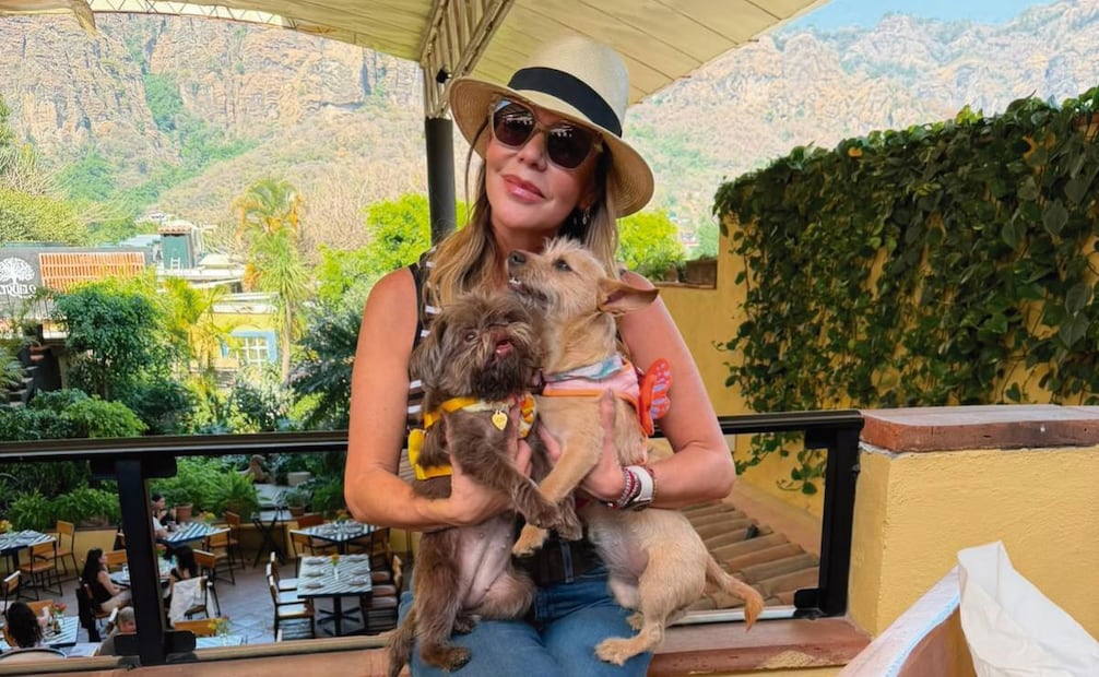 Famosos celebran el Día del Perro