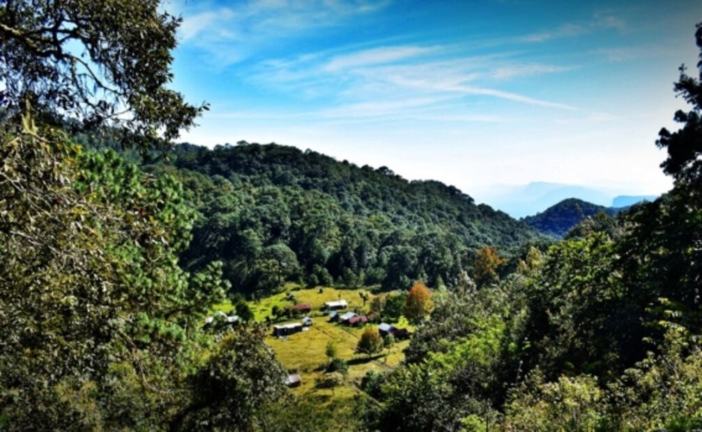 4 bosques mexicanos para viajar en primavera