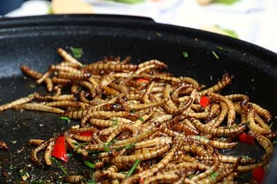 ¿Es realmente bueno para la salud comer insectos?