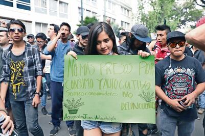 Marcha para usar yerba con fin científico, sin éxito