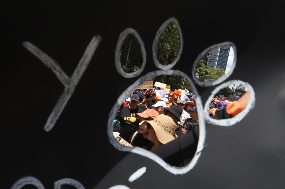 FOTO: Berenice Fregoso/ EL UNIVERSAL/