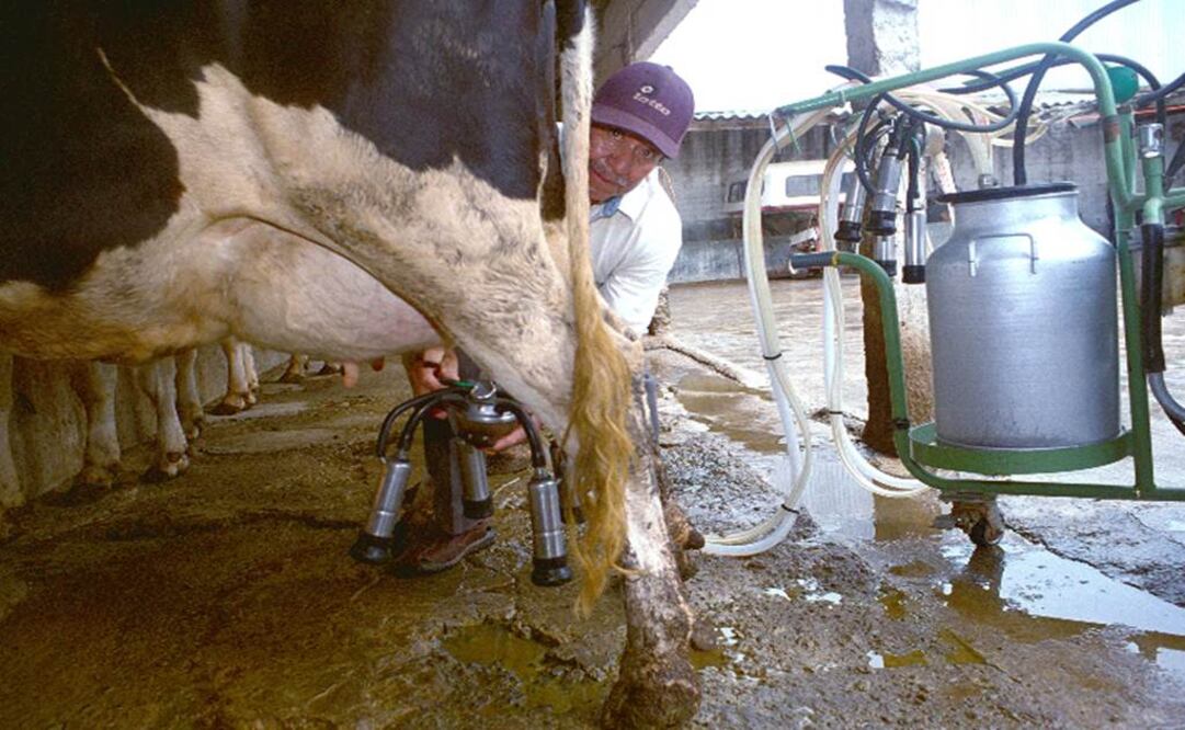 Demandan productores de leche prioridad en aranceles