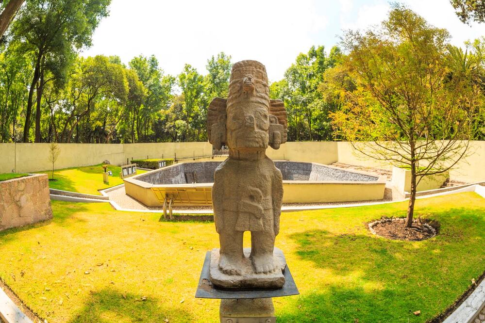 Foto: Secretaría del Medio Ambiente