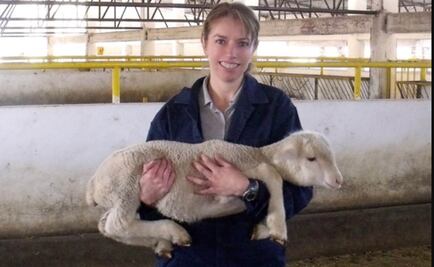 Crean en la UNAM galleta antiparasitaria para cabras y conejos