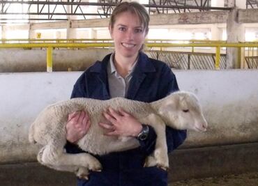 Crean en la UNAM galleta antiparasitaria para cabras y conejos