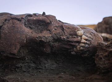 Descubren asentamiento humano de más de un milenio en la carretera Mante-Ocampo-Tula