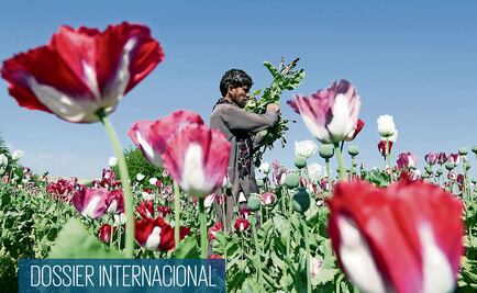 Dossier. Opioides, el nuevo enemigo de EU